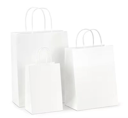 로고 인쇄 및 OEM/ODM 받아 들여지는 종이 휘어진 손잡이 쇼핑 선물 휴대용 가방